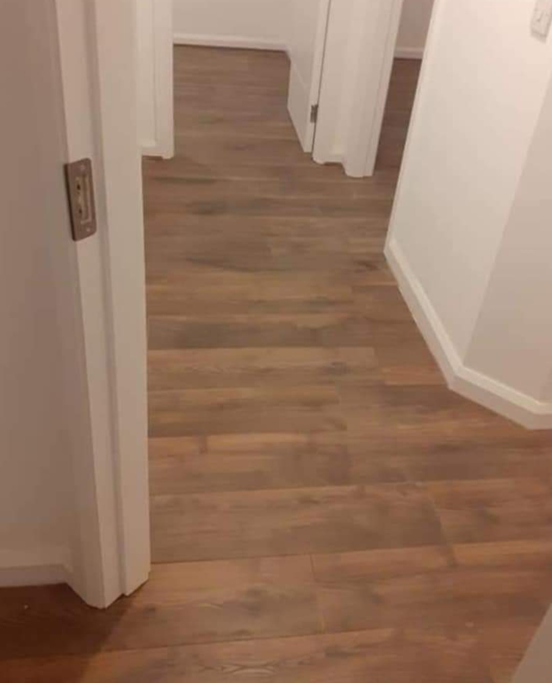 Dark Oak